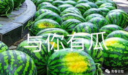 陕西吃瓜最新事件爆料,最新爆料揭秘惊人内幕”